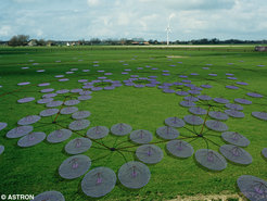 LOFAR-Station, aus insgesamt 200 Einzelelementen aufgebaut.