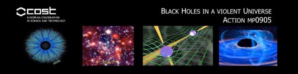 COST ACTION MP0905 - BLACK HOLES IN A VIOLENT UNIVERSE