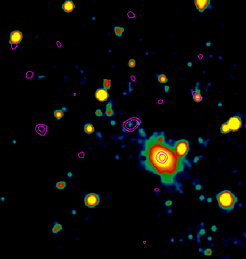 Der bislang am weitesten entfernte Quasar SDSS J1148+5251 ist in der optischen Aufnahme des Sloan Digital Sky Survey im Bildzentrum als ein schwacher Punkt zu erkennen. Alle anderen Objekte sind Vordergrund-Galaxien, die mit dem Quasar in keiner Beziehung stehen. Die Konturlinien zeigen die Intensität der Strahlung bei Millimeter-Wellenlängen, wie sie mit dem MAMBO-2 Detektor am 30 Meter-Teleskop von IRAM gemessen wurde. Deutlich erkennbar ist die starke Strahlung des Quasars.