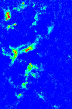 Bild von NGC 6357 im Submillimeterbereich (ATLASGAL).