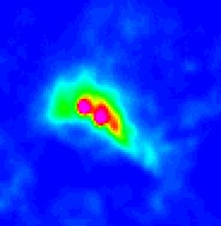 Bild von Sagittarius B2 im Submillimeterbereich (ATLASGAL).