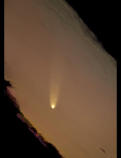 Komet C/2006 P1 (McNaught) (www.astronomie.de)