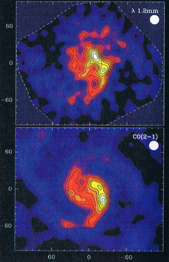 Abb. 5: Karten von M51 - oben die Verteilung des kalten Staubes, gemessen mit dem MPIfR-Bolometer und unten die des Kohlenmonoxyds - CO(2→1). Die Karten zeigen deutlich die Spiralstruktur und haben auffallende Ähnlichkeiten. Der Maßstab ist in Bogensekunden.