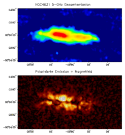 Abb. 5: Die von der Seite gesehene Galaxie NGC4631 zeigt ähnliche Depolarisationsverhältnisse in der Scheibe wie die 2,7-GHz-Messungen der Milchstraße in Abb. 4. Die räumliche Auflösung beträgt hier 2400 Lichtjahre. Die Messungen stammen vom Very Large Array/USA.