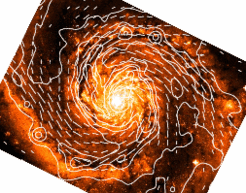 Abb. 1: Gesamte Radiostrahlung (Konturlinien) und polarisierte Radiostrahlung (Striche) aus der Galaxie M 51, gemessen mit den Radioteleskopen Effelsberg und VLA bei 3.6-cm-Wellenlänge. Das optische Bild im Hintergrund wurde vom Hubble Space Telescope der NASA/ESA aufgenommen.