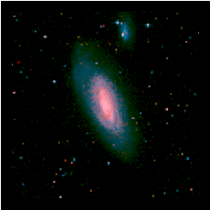 Abb. 3: Polarisierte Radiostrahlung (Konturlinien und Striche) aus der Galaxie NGC 4569, gemessen mit dem Radioteleskop Effelsberg bei 6.2-cm-Wellenlänge. Das optische Bild im Hintergrund stammt aus dem Digitized Sky Survey des Space Telescope Science Institute.
