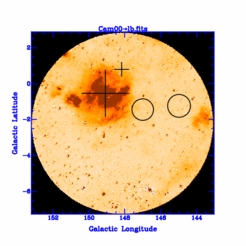 Abb. 5: Pulsar-Rotationsmaße in einem kleinen Ausschnitt der Milchstraße im Sternbild Giraffe. Kreuze kennzeichnen ein auf uns zu gerichtetes, Kreise ein von uns weg gerichtetes Magnetfeld. Das unterliegende Bild zeigt heisses Gas in der in rund 3000 Lichtjahren Entfernung liegenden Gaswolke (HII-Region) S205, die vermutliche Ursache für die Magnetfeldverbiegung (s. Abb. 6).