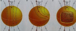 Fig. 1: Teile des Sonnen Aktivitätszyklus (Nesmes-Ribes, E., Baliunas S., and Sokoloff, D. 1996, Spektrum der Wissenschaft, Oktober 1996)