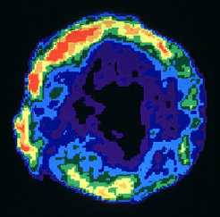 Auf diesem Bild wurde Tycho in Radiowellen mit dem VLA beobachtet.