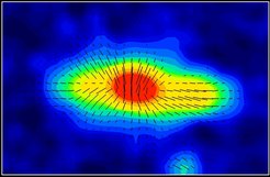 Abb. 1: Radiostrahlung aus dem Halo der Galaxie NGC4631, gemessen bei 3.6 cm Wellenlänge mit dem 100-m-Radioteleskop Effelsberg. Die Striche geben die Richtung der Magnetfelder an.