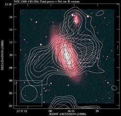 Abb. 2: Radiostrahlung der Galaxie NGC 4569, gemessen bei 6 cm Wellenlänge mit dem 100-m-Radioteleskop Effelsberg. Die Striche zeigen die Magnetfeldrichtungen, abgeleitet aus der polarisierten Radiostrahlung.