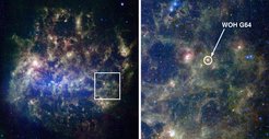 Die Große Magellansche Wolke, unserer nächstgelegenen Nachbargalaxie in rund 160.000 Lichtjahren Entfernung, ist am Südhimmel schon mit bloßem Auge zu sehen. Der Ausschnitt rechts zeigt den Überriesenstern WOH G64.
