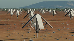 Der niederfrequente Teil vom SKA („phased array”) wird aus einer Vielzahl von einfachen Dipolen bestehen und voraussichtlich zwischen 50 und 350 MHz operieren.