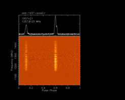 Abb. 4: PSR B1937+21 war der erste Millisekundenpulsar, der mit dem neuen System beobachtet wurde. Der untere Plot zeigt die Flussdichte (gelb hoch, orange gering) aufgetragen gegen die Beobachtungsfrequenz (Y-Achse) und Phase der Pulse (X-Achse). Jede Einheit der Phase des Pulses entspricht einer Rotation des Pulsars (1,57ms). Im oberen Plot wird die integrierte Flussdichte gegen die Phase des Pulses gezeigt. Dies ist das Pulsprofil des Pulsars.