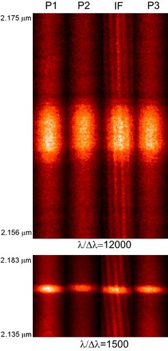 Abb. 1: Spektral dispergierte Michelson-Interferenzstreifen von η Car, die mit dem VLTI-AMBER-Instrument aufgenommen wurden. Das obere und untere Bild besteht aus je 4 Teilbildern. Die mit P1, P2 und P3 bezeichneten Teile zeigen die spektral dispergierten Signale der 3 Einzelteleskope. Das mit IF gekennzeichnete Bild hingegen ist das interferometrisch überlagerte Signal der 3 Teleskope (Interferenzstreifenmuster). Die obere Abbildung zeigt dabei ein Interferogramm mit hoher spektraler Auflösung (λ/Δλ=12000), die untere ein Interferogramm mit mittlerer spektraler Auflösung (λ/Δλ=1500). Die auffälligen hellen Bereiche stammen von einer sehr hellen Emissionslinie des Wasserstoffs, der Brackett-γ-Linie (kurz Brγ-Linie). Diese Emissionslinie gibt Aufschlüsse über das heiße, dichte Gas, das mit hoher Geschwindigkeit vom Zentralstern abströmt.