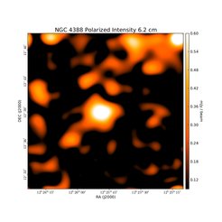 Polarized Intensity at 6.2 cm (4.85 GHz), Effelsberg, Resolution 150", Weżgowiec et al. 2012