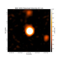 Polarized Intensity at 6.2 cm (4.85 GHz), Effelsberg, Resolution 150", Weżgowiec et al. 2007