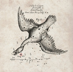 The nova of 1670 recorded by Hevelius. This chart of the position of a nova that appeared in the year 1670 was recorded by the famous astronomer Hevelius and was published by the Royal Society in England in their journal Philosophical Transactions.