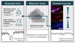 An illustration for the molecular absorptions in AGNs and research plans for the PhD project.