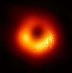 Polarisation in the very centre of galaxy M87. Polarization “field lines" are plotted atop an underlying total intensity image (the “shadow of a black hole” image from April 2019). To emphasize the regions with stronger polarisation detections, length and opacity of the streamlines are scaled with the polarised intensity.