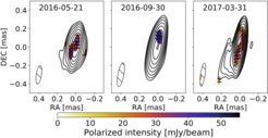 CTA 102 monitoring with the Global millimetre-VLBI Array (GMVA), as presented in Casadio et al. A&A 622, A158 (2019) (see their Figure 1).