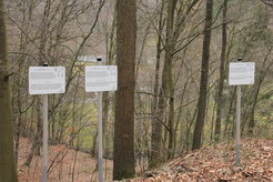 Abb. 2: Start des Galaxienwegs am Radioteleskop Effelsberg. Die ersten drei Stationen sind die Milchstraße, Andromedagalaxie und Galaxie M82 im Sternbild Großer Bär. Im Hintergrund ist das Antennenfeld des Niederfrequenz-Radioteleskops LOFAR zu sehen.