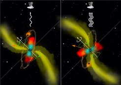 Fig. 1: Illustration showing a magnetized radio jet (yellow), precessing due to a supermassive binary black hole at the center of the galaxy. The larger supermassive black hole is shown in black at the center within the accretion disk, that contains both warmer (blue) and cooler (red) gas. The white arrow indicates the spin of the larger black hole. The second black hole is orbiting (orange) around the central supermassive black hole and the orange arrow shows the orientation of its orbital angular momentum. Due to the misalignment, the torque from the secondary drives the precession of the accretion disk as well as the launched jet (green circle and arrows). Radio emission is indicated with white curved lines. A radio telescope indicates the direction towards the observer on Earth. The two images visualize how the jet swirls around and produces the variations in radio emission. The jet in the image on the right is turning towards the observer and thus appears brighter in the sky – hence stronger radio emission is seen.