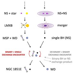 Abb. 3: Mögliche Entstehungsgeschichte des Radiopulsars NGC 1851E und seines exotischen Begleitsterns (siehe Text für Details).